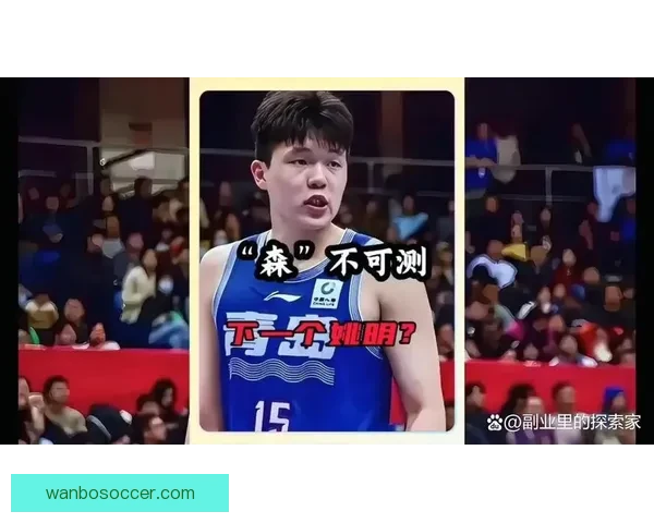 罗威因下背部伤势退出比赛 开拓者官方宣布不会回归